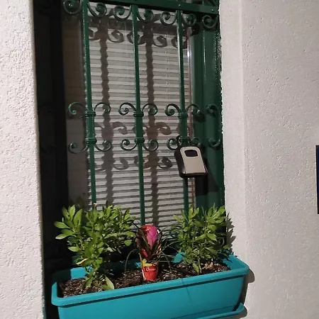 בית הארחה Anthea 2 אופטיה